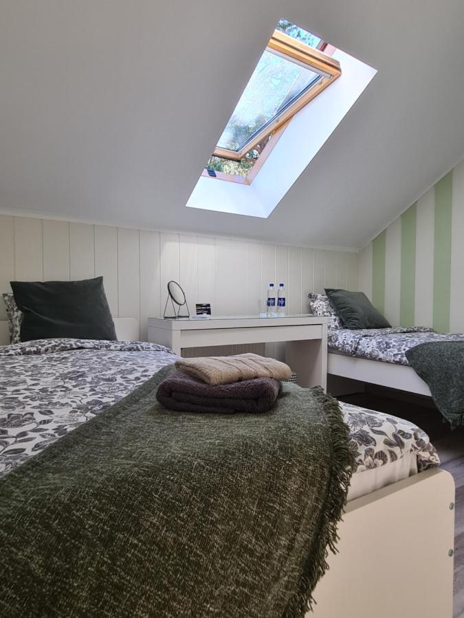 Guest House Kaktus Riga Bagian luar foto